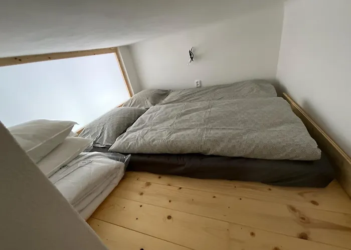 Apartment Fox